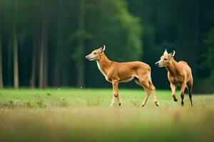 two deer running in the grass in the forest. AI-Generated photo