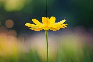 a yellow flower is hanging from a string. AI-Generated photo