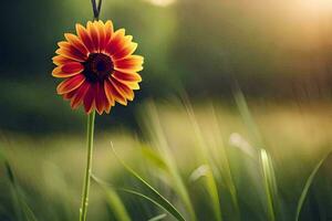 a single red flower is standing in the grass. AI-Generated photo