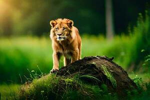 the lion is standing on the grass in the middle of the forest. AI-Generated photo