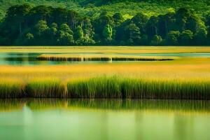 a marsh with tall grass and trees in the background. AI-Generated photo