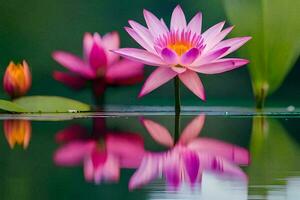 rosado loto flor en agua con verde hojas. generado por ai foto