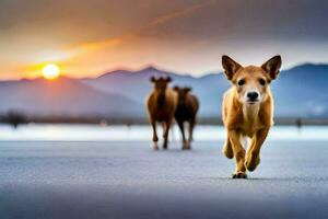 un perro corriendo en el medio de un la carretera a puesta de sol. generado por ai foto