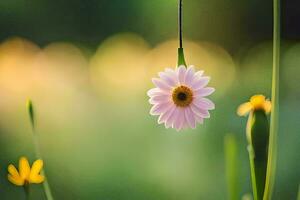 a single pink flower is hanging from a string. AI-Generated photo