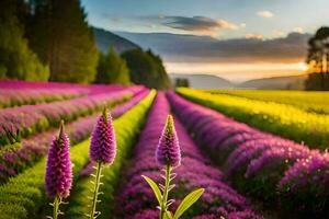 a field of purple flowers at sunset. AI-Generated photo