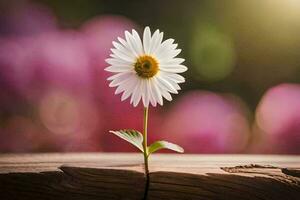 a single daisy flower is growing out of a wooden plank. AI-Generated photo