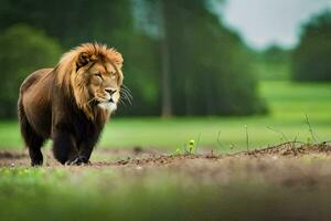 un león caminando en el campo. generado por ai foto