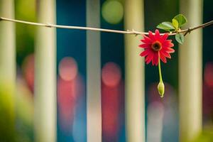 a red flower is hanging from a wire. AI-Generated photo