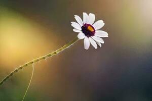 a single white daisy is standing in front of a blurred background. AI-Generated photo
