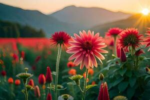 flowers in the field at sunset. AI-Generated photo