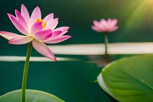 dos rosado loto flores en el agua con verde hojas. generado por ai foto