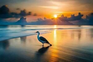 a bird stands on the beach at sunset. AI-Generated photo