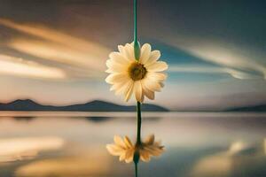 un soltero flor es en pie en un cuerda en el medio de un lago. generado por ai foto
