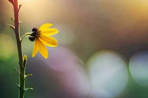 a single yellow flower is sitting on a stem. AI-Generated photo