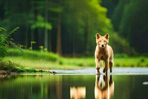 a dog walking across a pond in the forest. AI-Generated photo