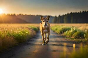 a dog walking down a road at sunset. AI-Generated photo
