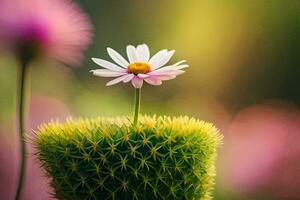 a single flower is standing on top of a cactus. AI-Generated photo