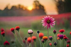 flores en un campo a puesta de sol. generado por ai foto