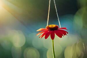 a red flower hanging from a string. AI-Generated photo