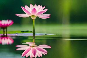 pink lotus flower in the water. AI-Generated photo