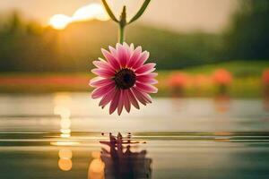 un rosado flor flotante en el agua a puesta de sol. generado por ai foto