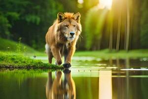 a lion walking across a pond in the sunlight. AI-Generated photo