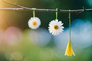 two daisies hanging from a branch. AI-Generated photo