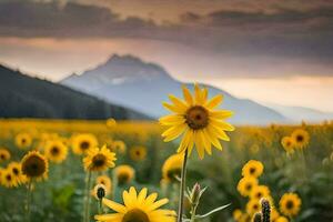 sunflowers in a field with mountains in the background. AI-Generated photo