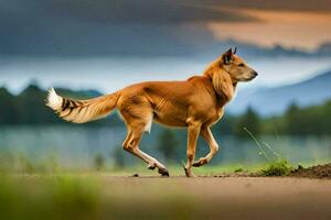 a dog running across a field with a sunset in the background. AI-Generated photo