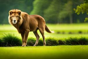 a lion is standing in the grass on a green field. AI-Generated photo