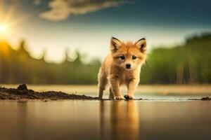 a fox is walking on the beach at sunset. AI-Generated photo