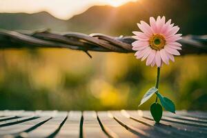 a single pink flower sits on a wooden bench. AI-Generated photo