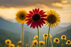 sunflowers in the mountains at sunset. AI-Generated photo