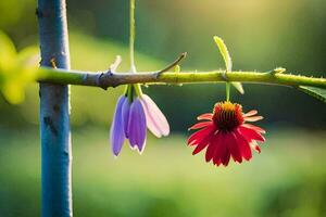 two red flowers hanging from a branch. AI-Generated photo