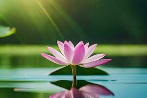 a pink lotus flower in the water with sunlight shining. AI-Generated photo