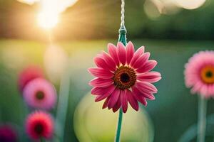 pink flowers hanging from a wire in the sun. AI-Generated photo