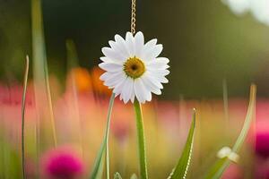 a single white daisy is hanging from a string. AI-Generated photo