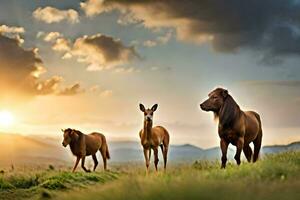 Tres caballos son en pie en un campo a puesta de sol. generado por ai foto