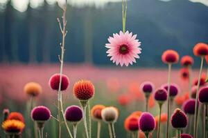 a pink flower is hanging from a string in a field. AI-Generated photo