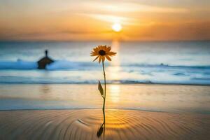 un soltero flor soportes en el arena a puesta de sol. generado por ai foto