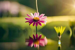 a pink flower is floating in the water. AI-Generated photo