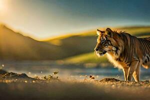 a tiger is standing in the grass at sunset. AI-Generated photo