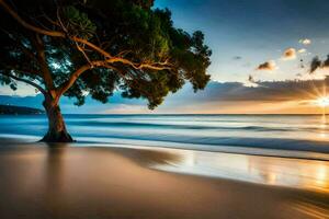 un árbol en el playa a puesta de sol. generado por ai foto