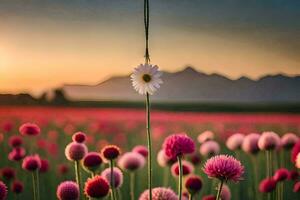 un flor colgando desde un cuerda en un campo. generado por ai foto