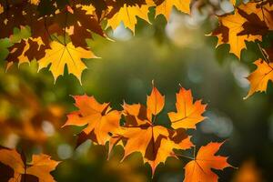 autumn leaves are shown in the sunlight. AI-Generated photo