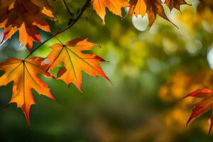 otoño hojas en un árbol. generado por ai foto