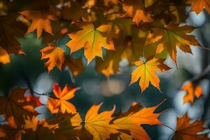 autumn leaves, autumn, autumn leaves, autumn leaves, autumn leaves, autumn leaves, autumn. AI-Generated photo