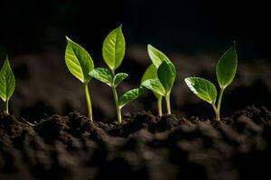 un grupo de joven plantas creciente en el suciedad. generado por ai foto