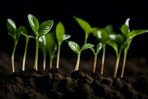 un grupo de joven plantas creciente en el suelo. generado por ai foto