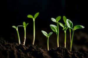 young plants sprouting from the soil. AI-Generated photo